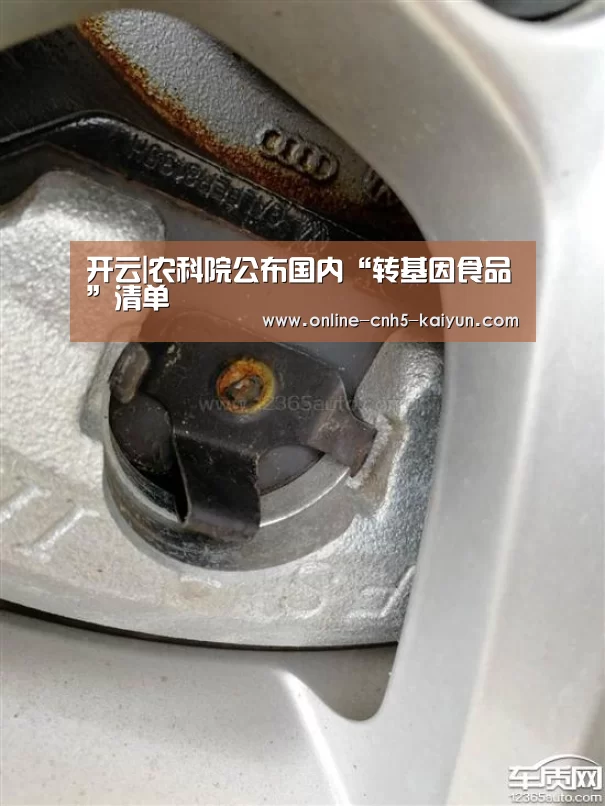 开云平台