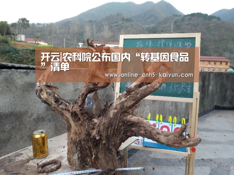 开云APP