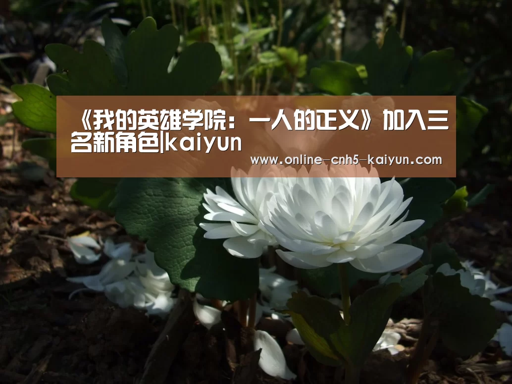 开云平台